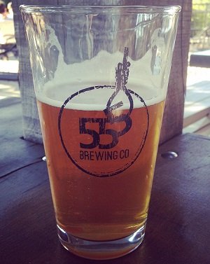 555 Brewing Co The Judge Beer