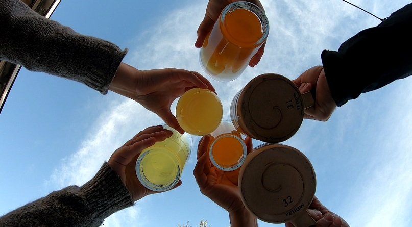 555 Brewing in Picton Cheers