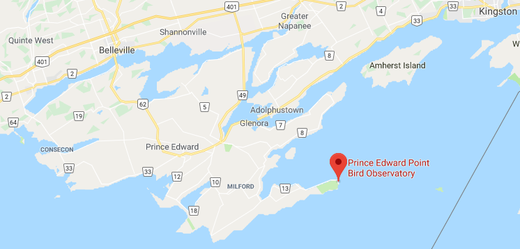 Prince Edward Point Bird Observatory