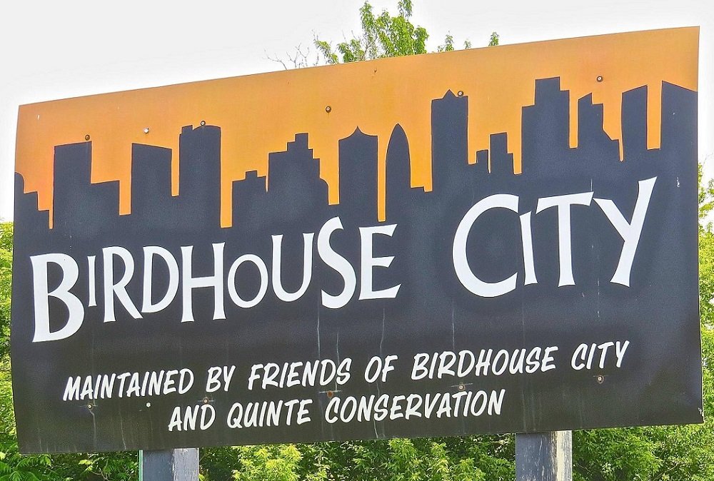 Birdhouse City at Macaulay Mountain