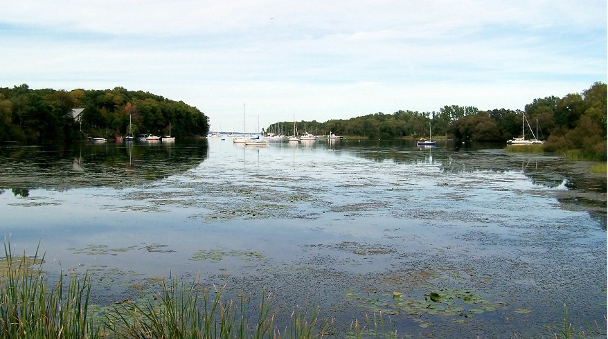 Prinyers Cove in Cressey