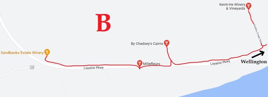Bicycle Wine Tour B