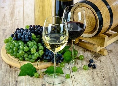 Vegan Winery