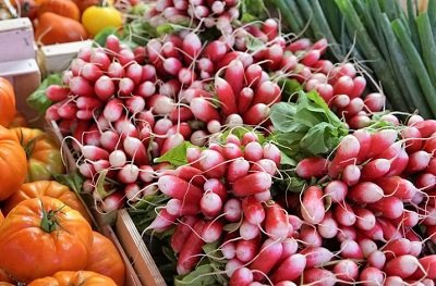 Wellington Farmers' Market