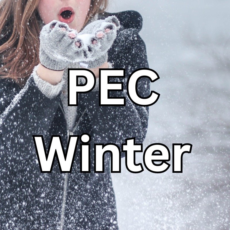 Top 10 Prince Edward County’s Winter Activities