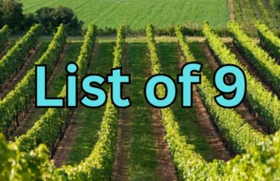 Niagara Wineries