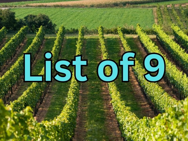 Niagara Wineries