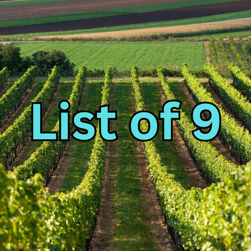 9 of The Best Wineries to Visit in Niagara on the Lake