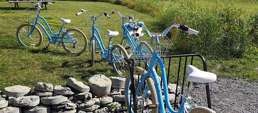 Best Winery for Bicycle Tours