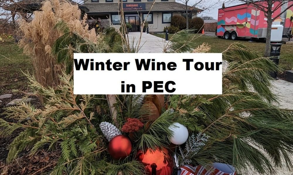 Winter Wine Tour in PEC
