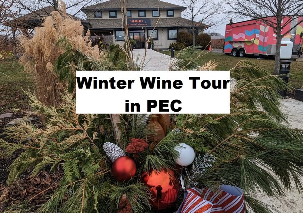Winter Wine Tour in PEC