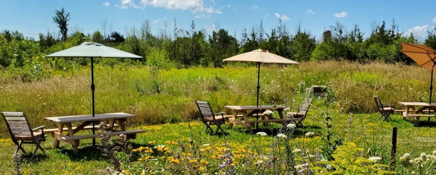 Stanners Vineyard Outside Seating Area