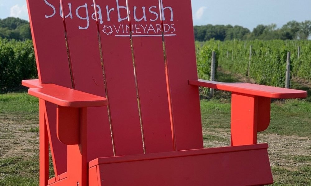 Sugarbush Vineyard Chair