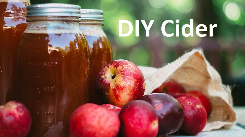 How to Make Hard Apple Cider