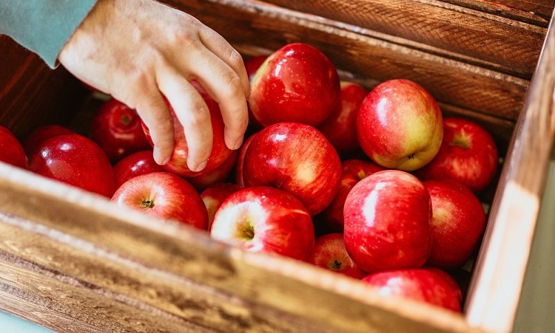 Choosing The Right Apples