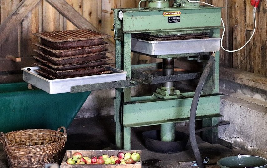 Properly Pressing apple juice