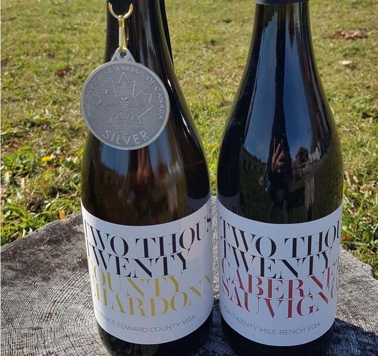 Morandin Wines | A Story of Quality and Sustainability in PEC