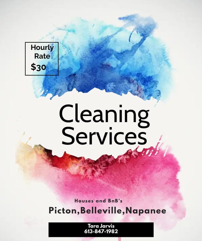 Best House Cleaning Services in Prince Edward County