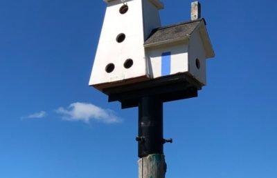 Birdhouse City in Picton