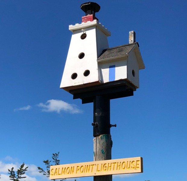 Birdhouse City in Picton