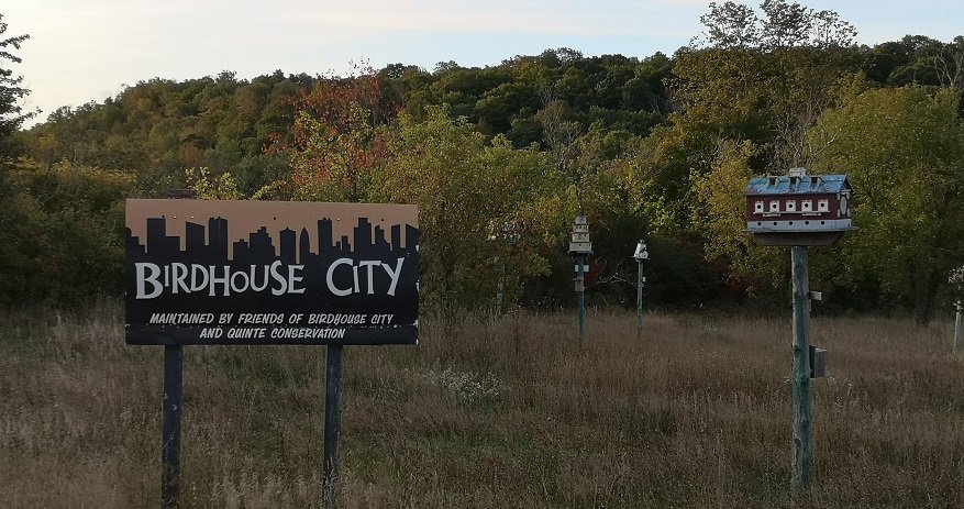 Birdhouse City in Picton