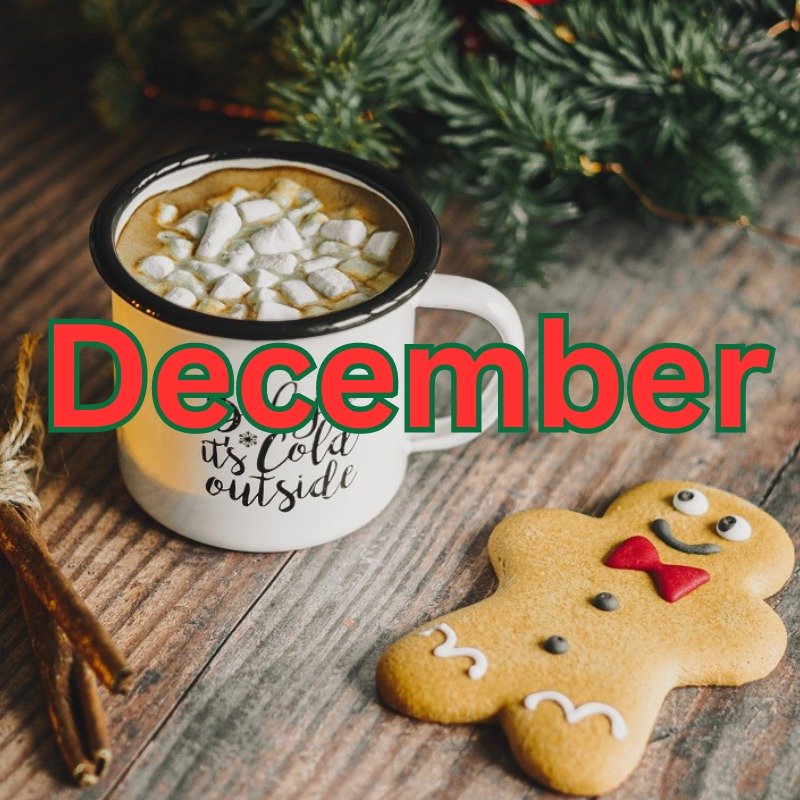 Holiday Things To Do in Prince Edward County in December