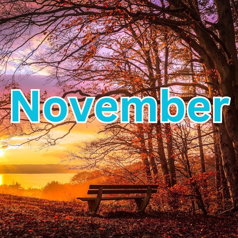 7 Things to Do in Prince Edward County in November