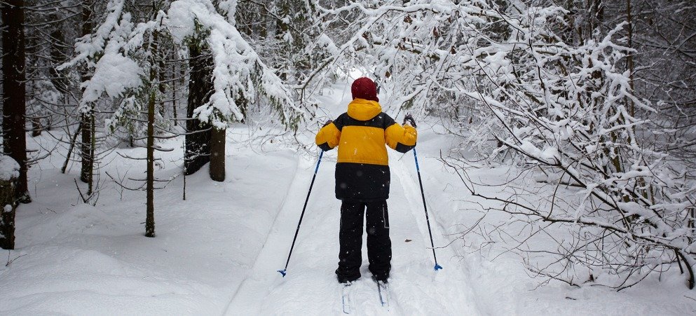 Cross-Country Ski Trails in PEC