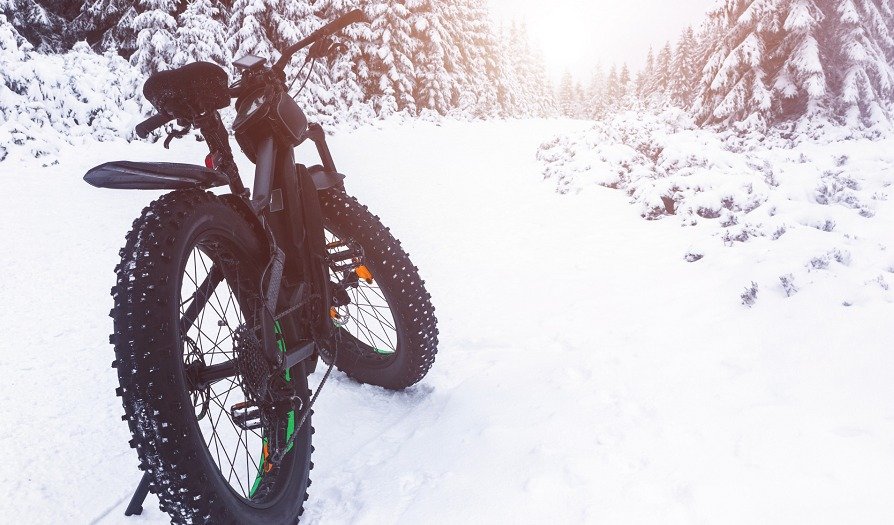 Fat Biking on trails in PEC