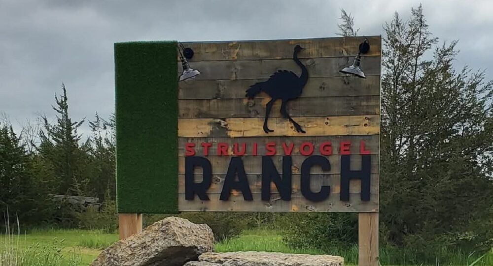 We Experianced The Struisvogel Ranch: PEC Ostrich Farm