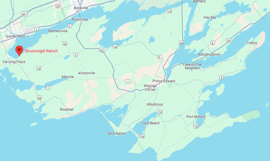 3555 County Road 3, Carrying Place, in Prince Edward County