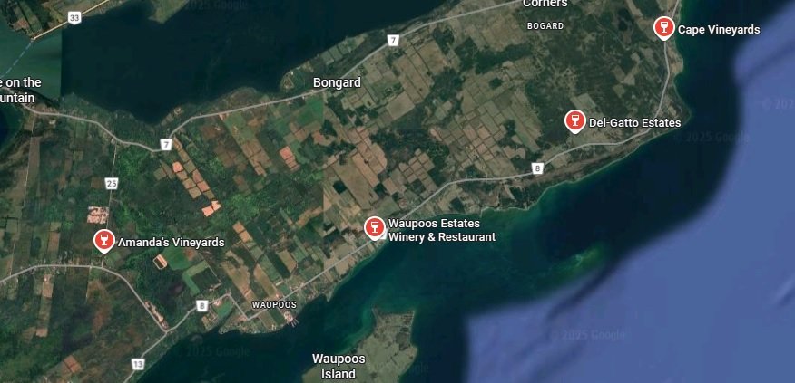 South Shore Wineries that are dog friendly