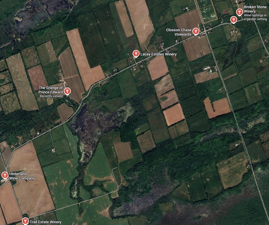 Wellington Area Wineries