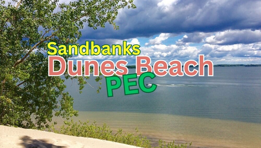 Discovering Dunes Beach: PEC’s Sandy Superstar