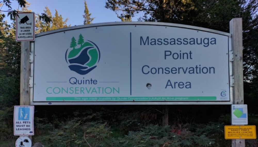 Why Massassauga Point Is Worth the Walk