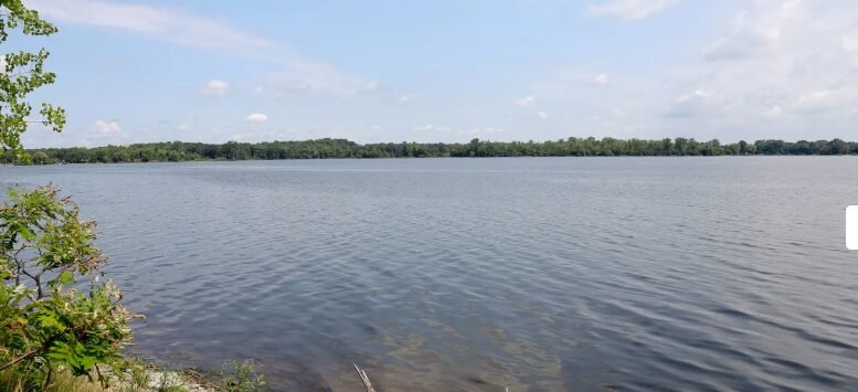 Massassauga Point Shoreline