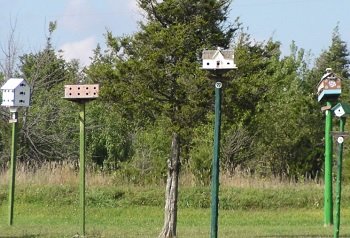 Birdhouse City