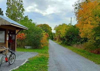 Millennium Trail