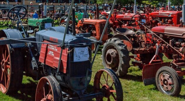 Antique Show