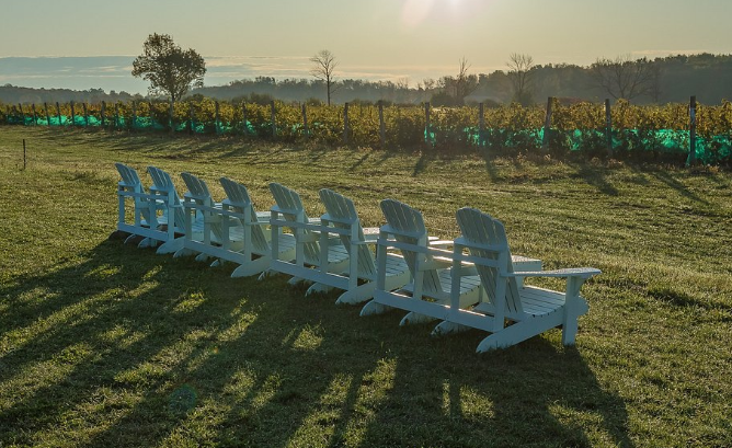 Winery View