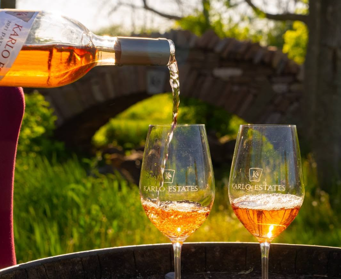 Vegan Winery