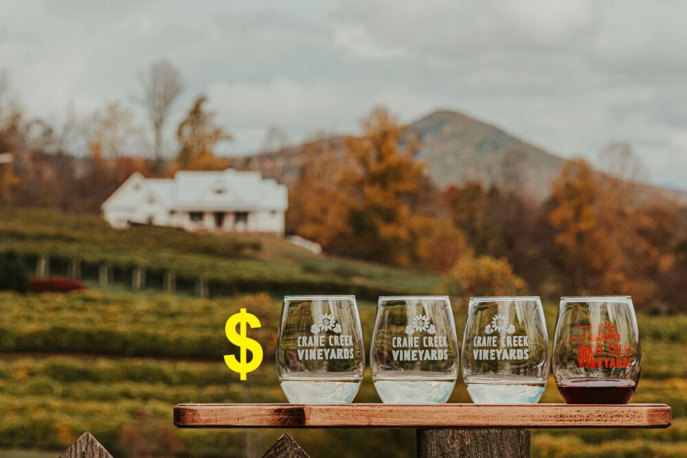 How Much Does Wine Tasting Cost in Prince Edward County? A Local’s Honest Guide
