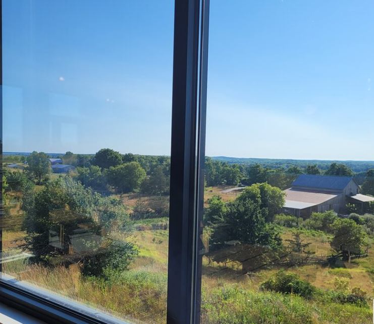 The view at Slake