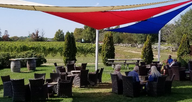 Closson Chase Vineyards
